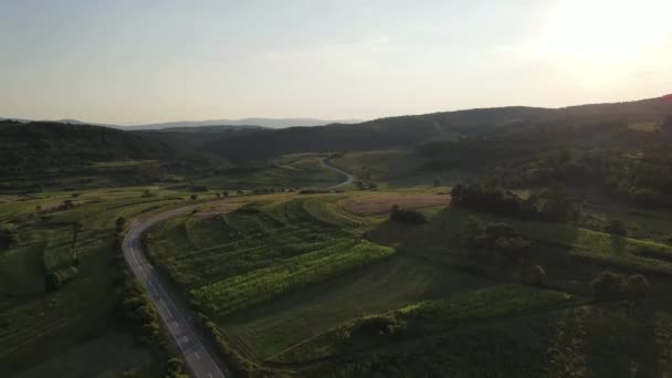 Vista Aérea Desde Arriba Carretera Campo Cordillera Entre Hierba Verde — Vídeos de Stock