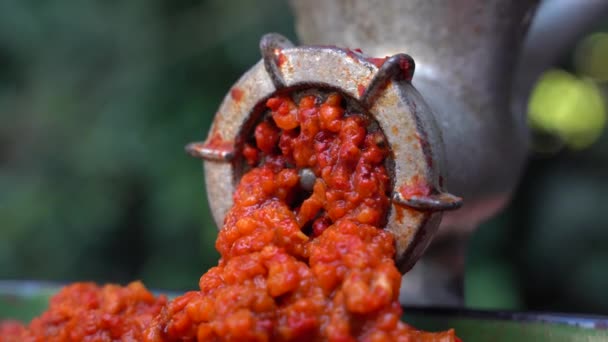 Cerrar Aire Libre Molino Molino Con Verduras Que Preparan Pimentón — Vídeos de Stock