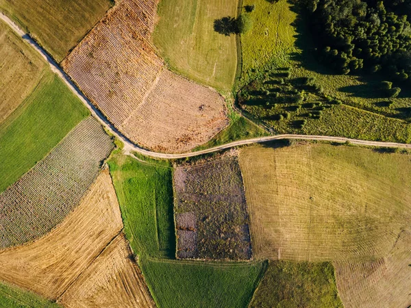 Luftaufnahme Von Oben Auf Der Landstraße Den Gebirgslandwirtschaften Zwischen Grünen — Stockfoto