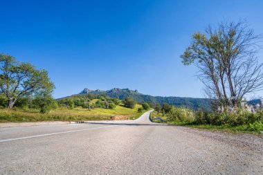 Sırbistan 'daki Babin Zub ulusal parkına giden eski dağ yolunda yaz günü