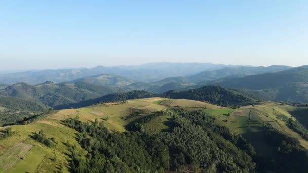 Drohne Luftaufnahmen Auf Einem Hügel Mit Feldern Und Bäumen Wald — Stockvideo