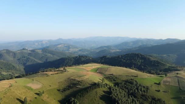 Drohne Luftaufnahmen Auf Einem Hügel Mit Feldern Und Bäumen Wald — Stockvideo