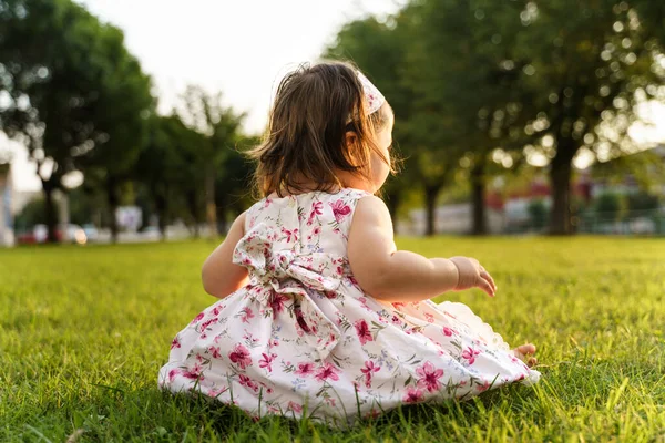 バックビュー夏や秋の日にフィールドでドレスを着て草の上に座っている1人の小さな白人の赤ん坊の女の子 子供時代のコンセプト — ストック写真