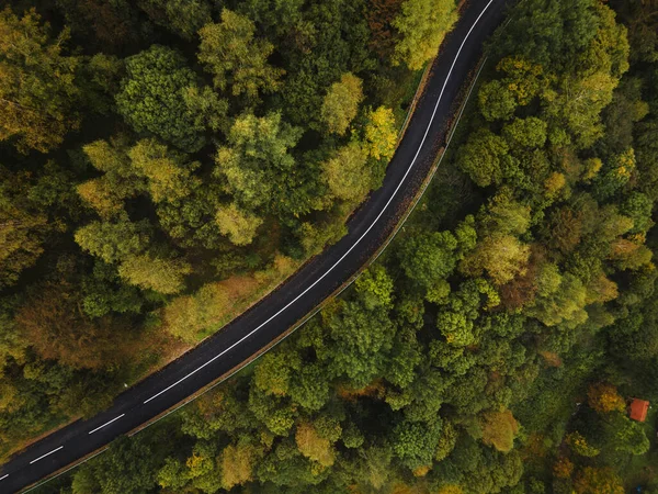 Vista Aérea Arriba Hacia Abajo Imagen Del Dron Carretera Través — Foto de Stock