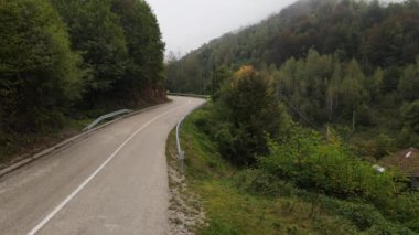Sırbistan 'daki Stara Planina - Sisli bir günde Eski Dağ turizm beldesi - Sonbaharda orman ağaçlarıyla seyahat ve tatil konsepti