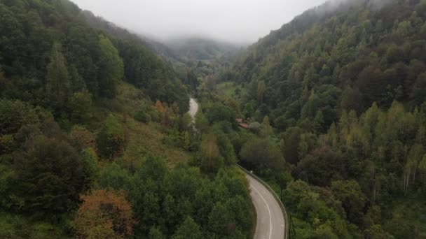 セルビアのスタラ プラニーナ 秋の森の木々と霧の日に古い山の観光地への道 観光情報 — ストック動画