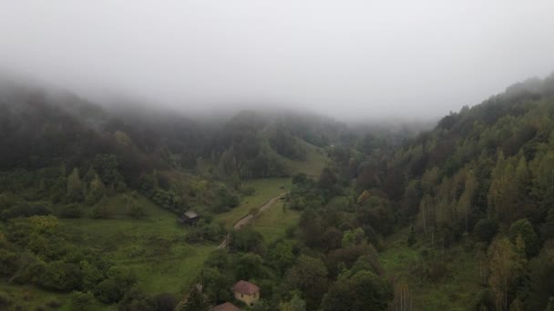 セルビアのスタラ プラニーナ 秋の森の木々と霧の日に古い山の観光地への道 観光情報 — ストック動画