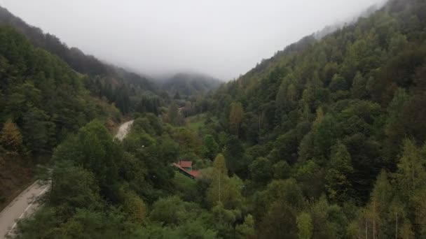 セルビアのスタラ プラニーナ 秋の森の木々と霧の日に古い山の観光地への道 観光情報 — ストック動画