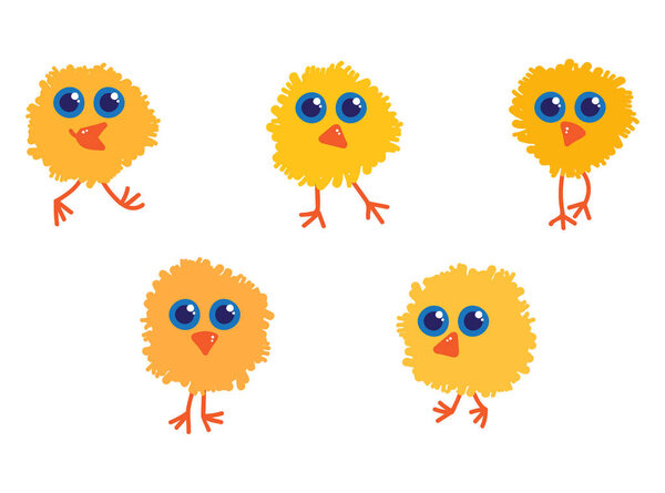 Five yellow little chicks 