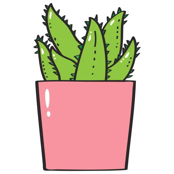 Green Succulent Plant Aloe Vera Pink Pot Vector Illustration Stock Illustration