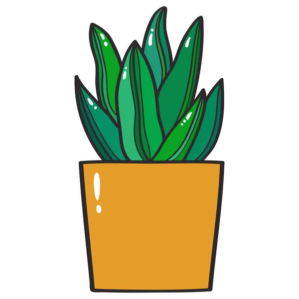 緑のサンセベリア 開花植物の属 家の植物 黄色のポットベクトルイラストで耐乾性植物 — ストックベクタ