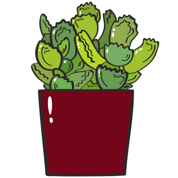 Cute Green Succculent House Plant Dark Red Pot Vector Illustration — 스톡 벡터