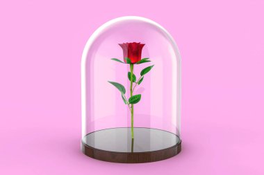 Kırmızı gül pembe bir arka plan üzerinde bir cam kubbe altında. Güzellik ve Beast hikaye. 3D çizim
