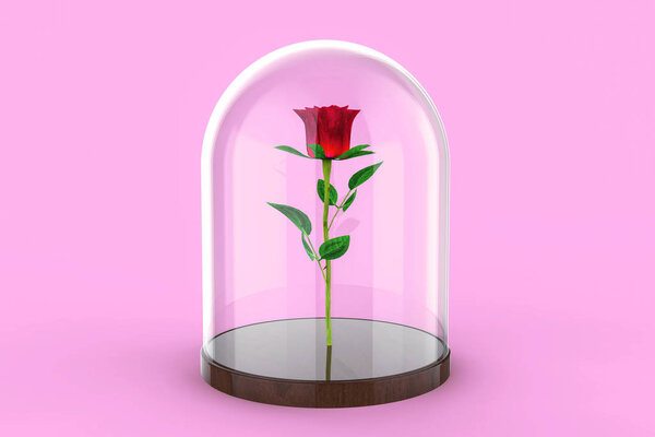 Red Rose under a glass dome on pink background. The Beauty and the Beast story. 3d illustration