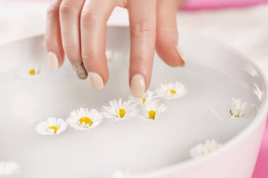 Manikür üzerinde ile kadın parmak dokunmatik papatya çiçek suyla yay çivi. Manikür ve el güzellik kavramı. Seçici odak