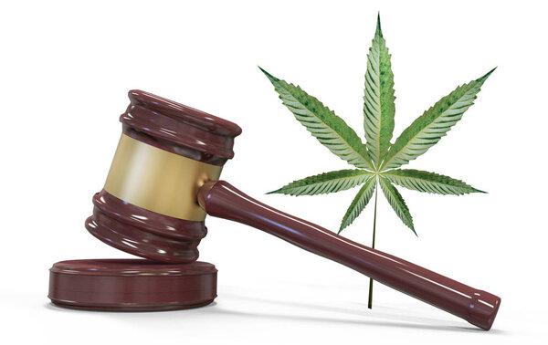 Gavel and marijuana isolated on white. Law and judiciary concept. 3D illustration