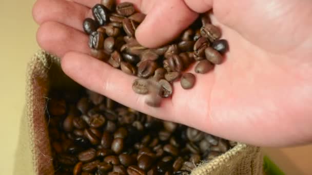 男性手捧咖啡豆和检查质量 滚动和漩涡烘焙咖啡在复古袋 选择性聚焦 — 图库视频影像