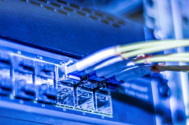 Optik Internet ve ağ sarı teller Yöneticisi anahtarlarla ilgili olduğunu. Fiber optik kablo sunucu donanımları noktalarında yer alır. Modern Internet bağlantısı kavramı. Seçici odak, yakın.