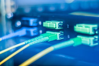 Fiber optik kablo internet ve ağ modern anahtarda bağlı. Modern Internet bağlantısı kavramı. Seçici odak, kapatın, yumuşak ve arka plan bulanık.