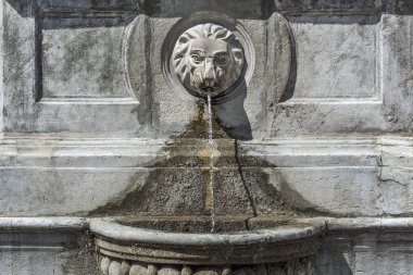 Heykel aslan baş çeşmeler ve city genel park su Bataryası