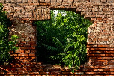 Kırmızı tuğla duvar eski harabe cam ev ve ev içinde yeşil flora ile. Zarar görmüş ve kıyamet bina kavramı