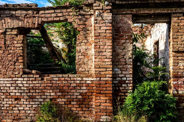 Руины Старого Заброшенного Дома Красного Кирпича Окнами Дверью Зеленой Травой — стоковое фото