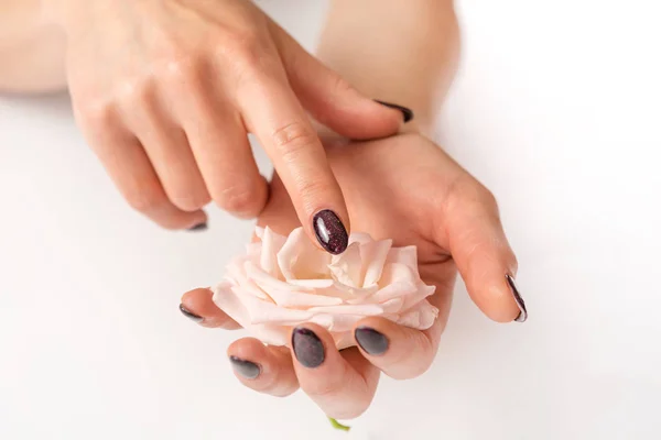 Mãos Femininas Com Unhas Roxas Cor Ouropel Tocando Rosa Rosa — Fotografia de Stock