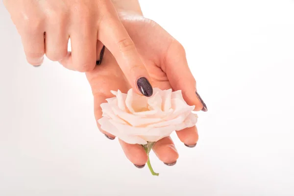 Mädchen Finger Berühren Rosa Rose Blume Der Hand Isoliert Auf — Stockfoto