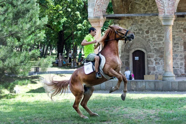 Νις Ιουνίου 2018 Rider Στο Καφετί Άλογο Άλματα Στο Λιβάδι — Φωτογραφία Αρχείου