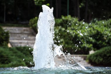 Sıçrama ve köpük su çeşme Doğa Park. Kadar su coşma kapatın. Sıçramasına, arka plan doğal. Seçici odak