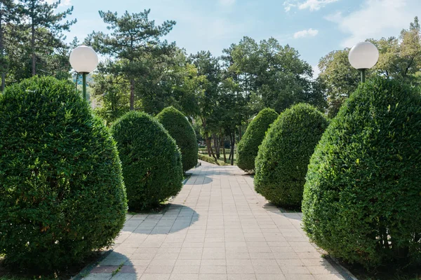 Beautiful garden decoration plant bush and walking path and tree in public park and spa resort on sunny summer day