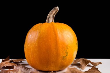 Turuncu kabak ve sonbahar yaprakları beyaz resepsiyon ve siyah arka plan üzerine kuru. Sonbahar ve Cadılar Bayramı kavramı. Yakın, seçici odak