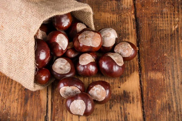 Chestnuts in retro bag and spilled on retro wooden desk. Autumn concept background. Close up, selective focus