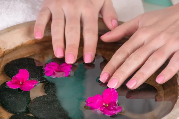 Les Mains Femme Avec Des Ongles Doucement Rose Gel Poli — Photo