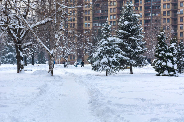 Nis, Serbia - January 12, 2019: City park and footpath covered with big snow on cold winter day. Winter and cold weather concept