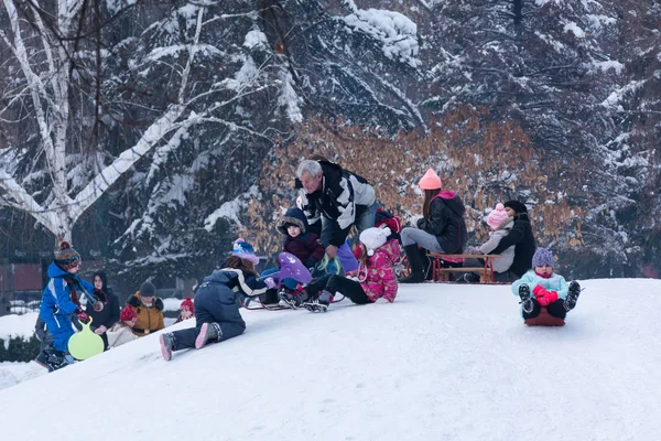 Nis Serbia January 2019 Children Sledding Hills Cold Winter Day — Zdjęcie stockowe