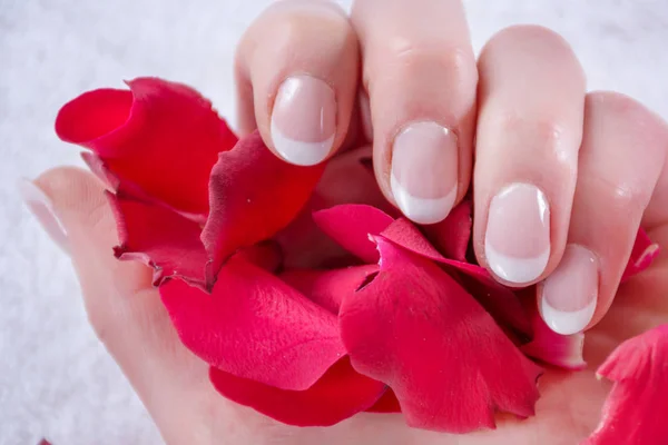フレンチ女性手にポーランド スタイル 赤を持って女の子バラの花びらのスタジオで マニキュア 美容のコンセプトです 間近で 選択と集中 — ストック写真