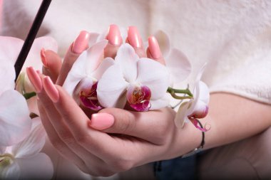 Bahar pembe genç kız elleriyle beyaz orkide çiçek elinde tutan Lehçe çivi. Güzellik ve manikür kavramı. Yakın, seçici odak