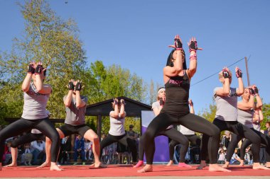 Niş, Sırbistan - 20 Nisan 2019 20 Nisan 2019 tarihinde park Sveti Sava, Nis, Sırbistan, Avrupa'da güneşli bahar gününde piloxing sporu eğitimi alan eğitmen eğitimi alan büyük bir grup mutlu güzel insan