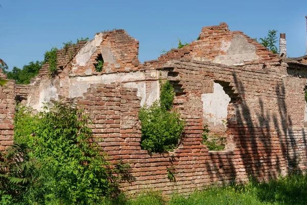 Ruin Old House Roof Red Brick Walls Grass Growing Floor — Stock Photo, Image