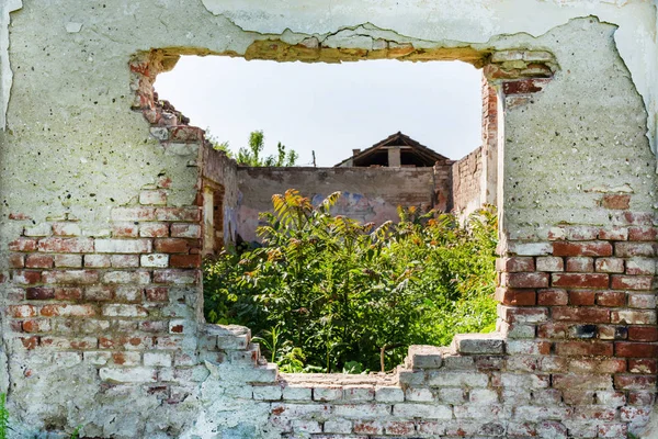 Ruins Window Walls Old House Roof Grass Growing Floor House — Stock Photo, Image
