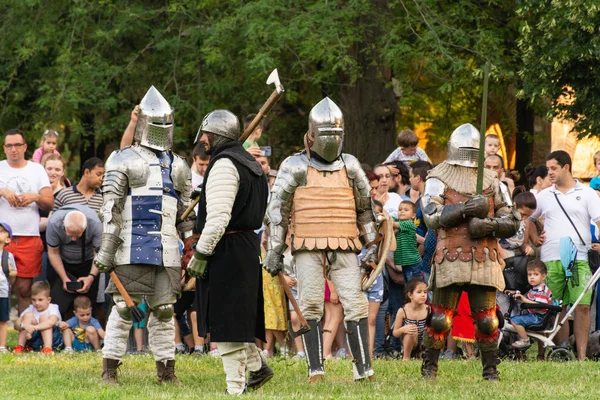 Nis Serbie Juin 2019 Festival Culture Militaire Médiévale Reconstruction Des — Photo