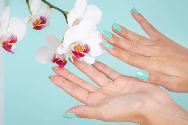 Mãos Mulher Com Uma Manicura Cores Turquesa Flores Orquídeas Brancas — Fotografia de Stock
