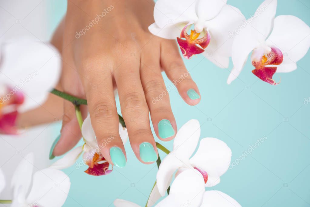 Young girl hand with a turquoise color manicure on nails and white orchids flower isolated on soft blue background in studio. Manicure and beauty concept. Close up, selective focus