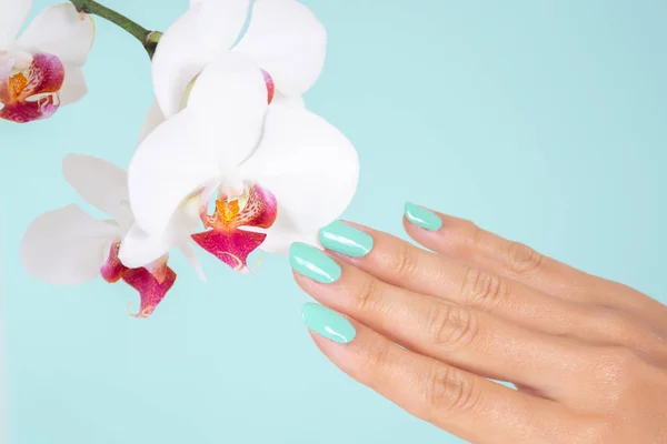 Mujer Joven Mano Con Color Turquesa Uñas Esmalte Orquídeas Blancas — Foto de Stock