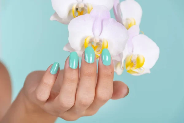 Beautiful girl hand with a turquoise color manicure on nails and light lilac orchids flower isolated on soft blue background in studio. Manicure and beauty concept. Close up, selective focus