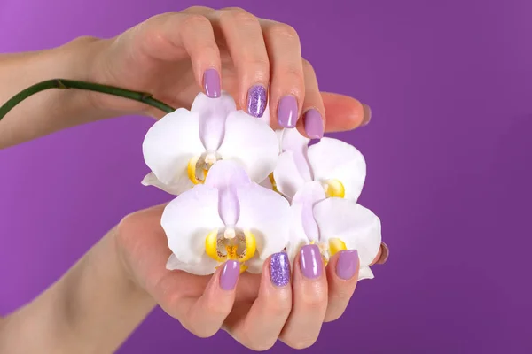 若い女性は スタジオで紫色の背景にライラックカラーの爪磨きゲルと美しい蘭の花の装飾と手 マニキュアと美容コンセプト クローズアップ 選択的フォーカス — ストック写真