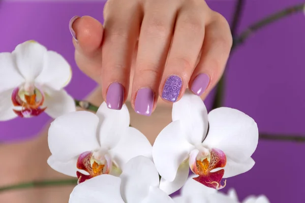 Girl hand with a lilac color nails polish gel and beautiful orchid flower decoration on purple background in the studio. Manicure and beauty concept. Close up, selective focus