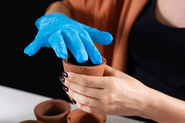 Woman hand with protective gloves holding the terracotta pot and puts soil in the flower pot. Preparation for sowing plant seeds in the laboratory. Close up, selective focus