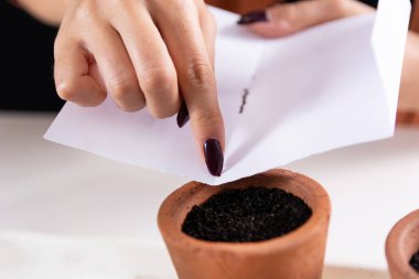 Parmak pişmiş toprak çiçek saksı kağıttan küçük kaktüs tohumları koydu. Çiçek fidanlık tohumları ekim kaktüsler süreci. Yakın çekim, seçici odak